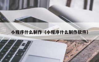 新野小程序什么制作（小程序什么制作软件）