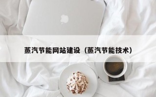 新野蒸汽节能网站建设（蒸汽节能技术）