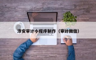 新野淳安审计小程序制作（审计微信）